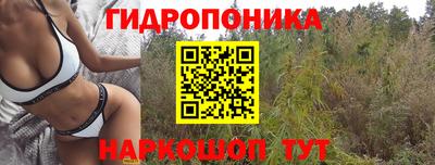 jwh Брянск