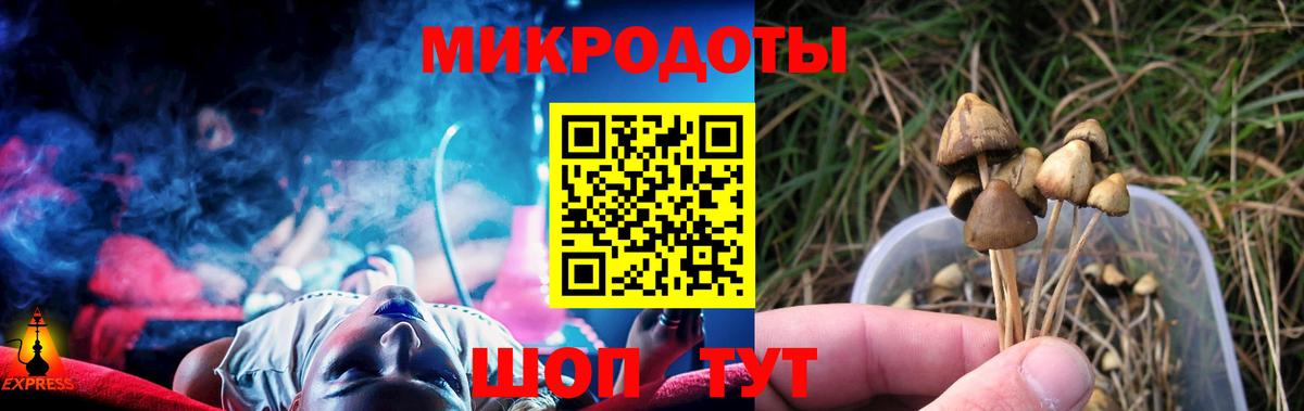 Галлюциногенные грибы Magic Shrooms Котлас