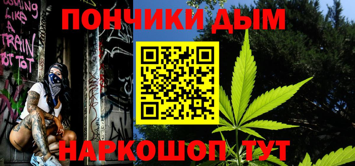Котлас  Каннабис сатива  Бошки Шишки VHQ  Бошки марихуана SATIVA & INDICA  Вход с VPN 